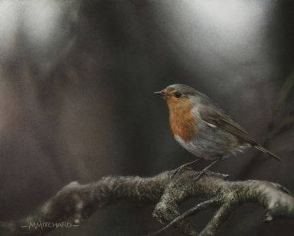 Robin perching on branch, acrylic.