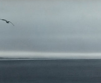 Sea and coastline, lone seagull flying, acrylic.