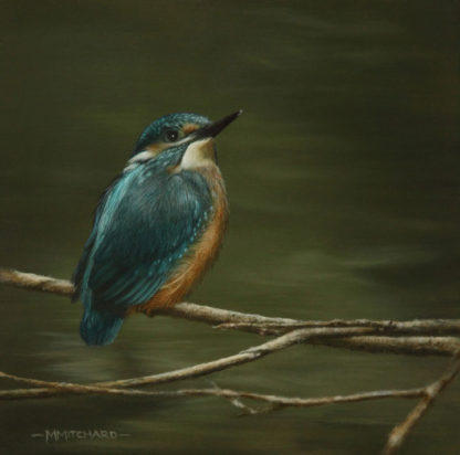 Kingfisher perching, acrylic.