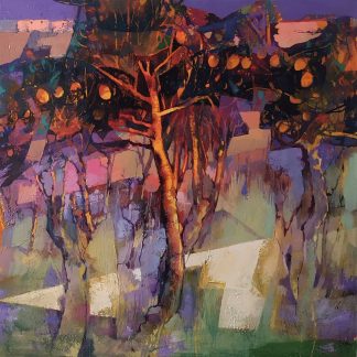Alex Bertaina - Play of Colours and Shapes