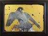 Framed-Peregrine-falcon-(1)