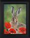 Framed-Poppyfield-Hare