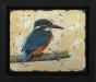 Framed-Kingfisher-study----Clive-Meredith