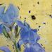 Bearded-Iris-&-Early-Bumblebee-detail