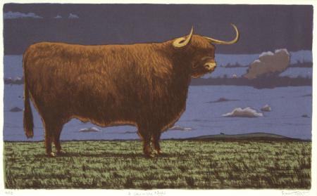 Cow in the night