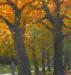 Autumn-in-the-Parkdetail-2