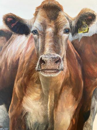 Katie-Wilkins---Guernsey-Cow